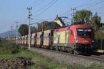 ÖBB Werbelok 1116 165 "BIO Austria" mit einem Erzzug bei der Durchfahrt in Elsbethen, Richtung Bischofshofen aufgenommen am 7.10.2022