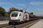�BB Werbelok 1116 264 "Hitradio �3" mit G�terzug bei der Durchfahrt in Elsbethen Richtung S�den am 25.09.13