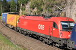 Die dritte Lok des schweren Nothegger KLV Zuges war die ÖBB 1216 007-5.