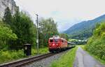 Am vergangenen Wochenende fanden auf der Arlbergbahn umfangreiche Jubiläumsfahrten anlässlich 100 Jahre elektrischer Betrieb statt. Neben den Eisenbahnfreunden Lienz war auch der Verein ProBahn Vorarlberg mit seiner altehrwürdigen 1110.505 vertreten. Am frühen Nachmittag des 16.08.2025 war sie mit ihrer grünen Wagengarnitur als Sonderleerpersonenzug 14862 von Ötztal nach Langen am Arlberg unterwegs und wurde dabei in der Innschlucht zwischen Roppen und Imst-Pitztal aufgenommen.