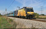 480 005-2 unterwegs bei Götzendorf an der Leitha (A).