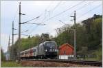 "Cats" 1116 153 mit Waldviertel-Express 2110 beim Fischerhaus in Kritzendorf.