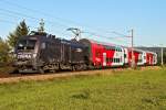 �sterreichs neueste Werbelok 1116 182 "Cobra" ist mit REX 2112, kurz vor Muckendorf-Wipfing unterwegs.