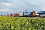 1116 199 " 60 Jahre Roco" mit railjet als Hintergrund;-) als R 2355 am 25.07.2020 kurz vor Wien Süßenbrunn.