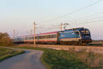 In den letzten Sonnenstrahlen des Tages ging sich am Abend des 23.04.2021 noch ein Foto des EC 105 "Porta Moravica" mit der 1216 236 aus.
