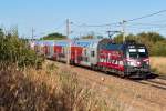 1116 138 "50 Jahre Heeres-Sport", unterwegs am 02.08.2013 mit R 2357 kurz vor Deutsch Wagram.