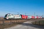 1116 130 "ecard", unterwegs mit dem R 2331 von Breclav nach Wiener Neustadt.