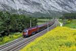 ÖBB Railjet 1116 212 zieht die Doppelgarnitur RJ 162 Wien Westbhf - Zürich HB am 29.08.10 bei Haiming.