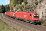 ÖBB 1216 002-6, 1216 006-7 & eine Vectron als Lokzug wieder retour Richtung Innsbruck Hbf. Aufgenommen bei Gries am Brenner am 09.10.2021