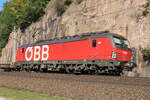 ÖBB 1293 017-0 am Zugschluss einer ROLA von Brennersee nach Wörgl Terminal Nord bei der Talfahrt.