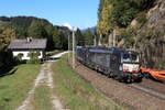 Zugkreuzung kurz nach der Haltestelle Gries am Brenner.