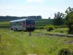 Am 27.6.2010 ist der R7715 zwischen den Weinbergen von Deutschkreutz und Unterpetersdorf unterwegs.