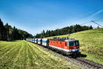 1144 097-3 fährt mit einem Güterzug in Richtung Jesenice, bei Schlatten, nahe Rosenbach vorüber.