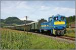 Diesellok 383.10 der NBiK fhrt mit Sonderzug 19815 von St.Paul nach Lavamnd und wieder retour.
Ettendorf 10.08.2008