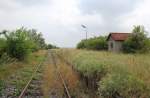 Die Haltestelle Straudorf bei Km 10,5 an der Lokalbahn Siebenbrunn-Engelhartstetten mit Blickrichtung Engelhartstetten, hat schon bessere Zeiten erlebt, Juli 2012