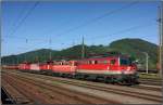 1116 100 + 1063 015 + 1044 020 + 1063 022 + 1042 041 + 1142 rollen als Lokzug 89208 langsam in Richtung Ausfahrsignal. Knittelfeld 5.6.2010
