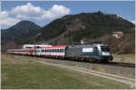 Den EC 538  Energie Klagenfurt Strom  bespannte am 30.3.2011 der Siemens Werbeochs 1116 038.