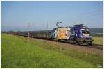 Der neueste Werbeochse 1116 077  Galileo-Michelangelo  rollt mit einem Autoleerzug von Villach nach Wien Zvbf. 
St. Margarethen 19.7.2014