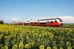 Cityjet und Sonnenblumen: Schnellbahnzug 29757 der Linie S 1 ist von Gänserndorf nach Wien Meidling unterwegs. Das Foto enstand am 21.07.2020 bei Wien Süßenbrunn.
