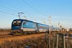 1216 236 schiebt den railjet 78 von Graz nach Prag. Wien Süßenbrunn, am 08.01.2016.