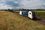 Wiener Lokalbahnen Cargo GmbH 1216 953, unterwegs mit einem leeren Autozug kurz vor Gramatneusiedl Richtung Osten.