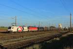 ÖBB 1116 264 + ÖBB 1144 229 mit einem GZ in Gramatneusiedl am 13.10.2013.