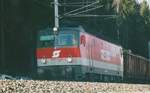 Die 1044 208 fuhr von 1993 bis 2006 mit einer Werbung für den damals neuen Geschäftsbereich  Rail Cargo Austria  durch Österreich.
Im Februar 2002 bespannt sie einen Güterzug in Richtung Villach hier zwischen Mariahof-St.Lambrecht und Neumarkt in Steiermark. 