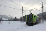 Doppeltes Glck hatte ich am 16.02.13.
Auf dem Weg zum Fotopunkt kam 1116 142 mit einem Gterzug entgegen, naja schade, leider verpasst. Aber ca. 1 Stunde spter kam die nchste CAT Lok daher!
Hier zu sehen ist die 1116 141 mit einem weiterem Ochsen am Pass Grieen bei Hochfilzen.
