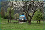 Man hat mit dem Wetter nicht immer Glück ,... 
Allerdings kann man auch ohne Sonne ganz gut Leben :-) 

Apfelblüte auf der Breitenauerbahn. 
26.04.2019