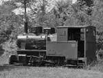 Die Dampflokomotive 13  Böhler  hier Anfang September 2019 beim Rangieren am Bahnhof Treibach-Altenhofen.