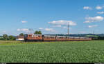 E 10 der Mariazellerbahn mit dem Ötscherbär am 27. Mai 2017 zwischen Klangen und Ober-Grafendorf.