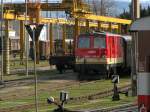 BB 2095 015 im Bahnhof St.Plten Alpenbahnhof