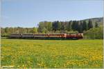 Es war der 29.April 2010, als die 1099 001  St.Plten  den aus vier Waggons bestehenden R 6811 nach Mariazell brachte und ich ihn zwischen Kirchberg und Schwerbach erlegte.