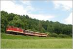 Am 24.6.2010 bespannte die 2095 009  Hollenstein/Ybbs  den R 6835 nach Laubenbachmhle. Hier bei Mainburg.