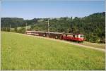 Der R 6802 bestand am 11.7.2010 aus der 1099 008 + 3111 + 3114 + 3147 + 4200. Diese Aufnahme zeigt den Zug zwischen Schwerbach und Kirchberg.