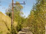 Bei St.Sebastian Rasing wächst nach dem Abbau des Gleiskörpers auf der steirischen Seite der Mariazellerbahn der aufgelassene Teil der Bahn zwischen Mariazell und Gußwerk langsam zu,