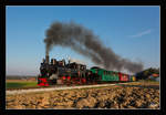 Dampflok CFF 764.411R der Stainzerbahn, fährt mit dem  Flascherlzug  von Stainz-Preding und Retour.