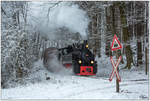 Achtung unbeschrankter Bahnübergang - Dampflok 764.411R der Stainzerbahn fährt mit einem Güterzug von Preding nach Stainz, aufgenommen in den Wäldern nahe Kraubath.
