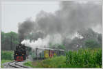 764-411R der Stainzer Bahn mit dem Stainzer Flascherlzug am 28.7.2019 in Herbersdorf aufgenommen.