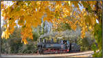 Mit dem Herbst kommt das bunte Laub. 
764.411 R dampft in Preding um den Flascherlzug herum. 
19.10.2019