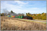 Alle Farben bringt der Herbst,... Darunter auch Braun . 
.Hier kurz nach Stainz dampft 764.411 R an einem Acker voll Gestrüb vorbei . 
19.10.2019