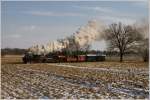 Auf der Stainzerbahn fhrt 298.56 mit einem Foto GmP von Preding nach Stainz.
Herbersdorf 5.2.2012 
