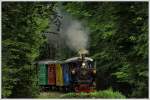 Der Stainzer Flascherlzug am 9.5.2012 mit einem Hauch von Waldbahnflair, aufgenommen kurz vor Kraubath.