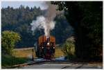 Teleaufnahme der Dampflok 298.56, welche auf der Stainzerbahn mit einem aufgeschemelten Gterzug von Kraubath nach Stainz unterwegs war.