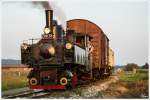 Dampflok 298.56 fhrt auf der Stainzerbahn, mit einem aufgeschemelten Gterzug von Kraubath nach Stainz. 
Herbersdorf 25.09.2013