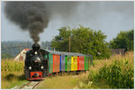 Stainzer Flascherlzug am 11.9.2016 kurz nach Herbersdorf.