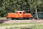 WSV 2091.09 anlässlich des vom WSV veranstalteten 2 tägigen  Güterzugfestival im Wald4tel  am 09.September 2023 kurz vor der Haltestelle Aalfang beim Km 1,1 der Strecke Alt Nagelberg - Heidenreichstein.