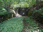 Tunnelportal zugemauert und verschlossen,ist nun ganz der Natur überlassen, und ein historisches Relikt der alten SKGLB, bzw. Ischler-Bahn; 210615