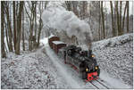 Einschnitt I - Winterdampf im Stainzertal - Draculinchen 764.411R fährt mit einem Fotogüterzug durch die Wälder nahe Kraubath.