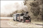 Bei Wohlsdorf dampft die Stainzer Lokalbahn durch den Wald. 24.10.2025 